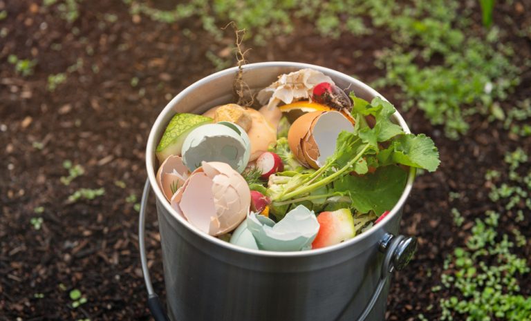 Compost Layers Matter More in Fall
