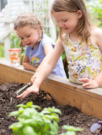 Raised beds hold warmth longer than ground soil.