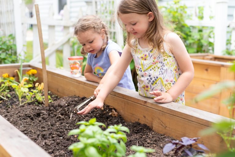 Raised beds hold warmth longer than ground soil.
