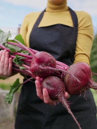 Some crops harvest twice if you plant them in fall.