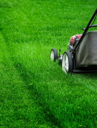 Your Lawn Shouldn’t Be Ignored This Season