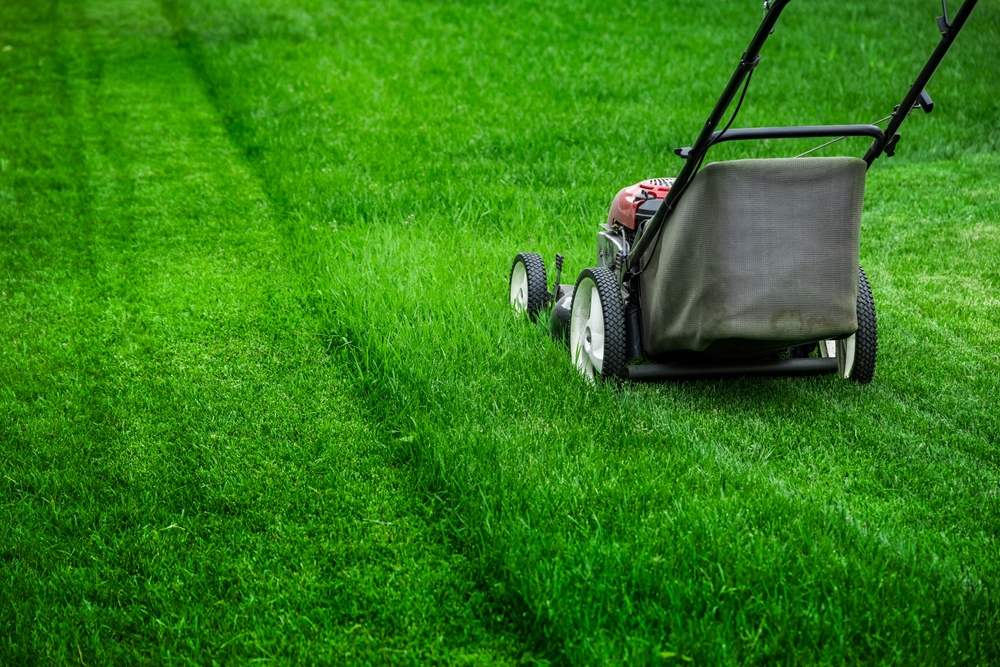 Your Lawn Shouldn’t Be Ignored This Season