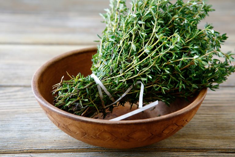 Some Cold Weather Herbs Keep Producing Indoors