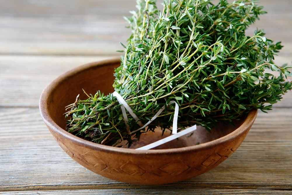 Some Cold Weather Herbs Keep Producing Indoors