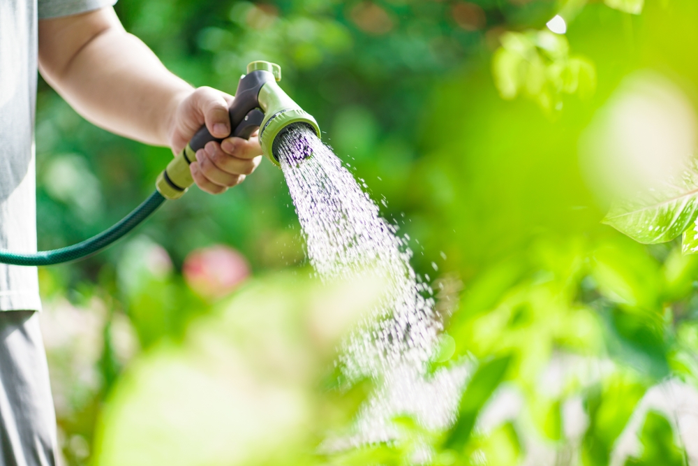 Some Garden Tasks Prevent Spring Weeds