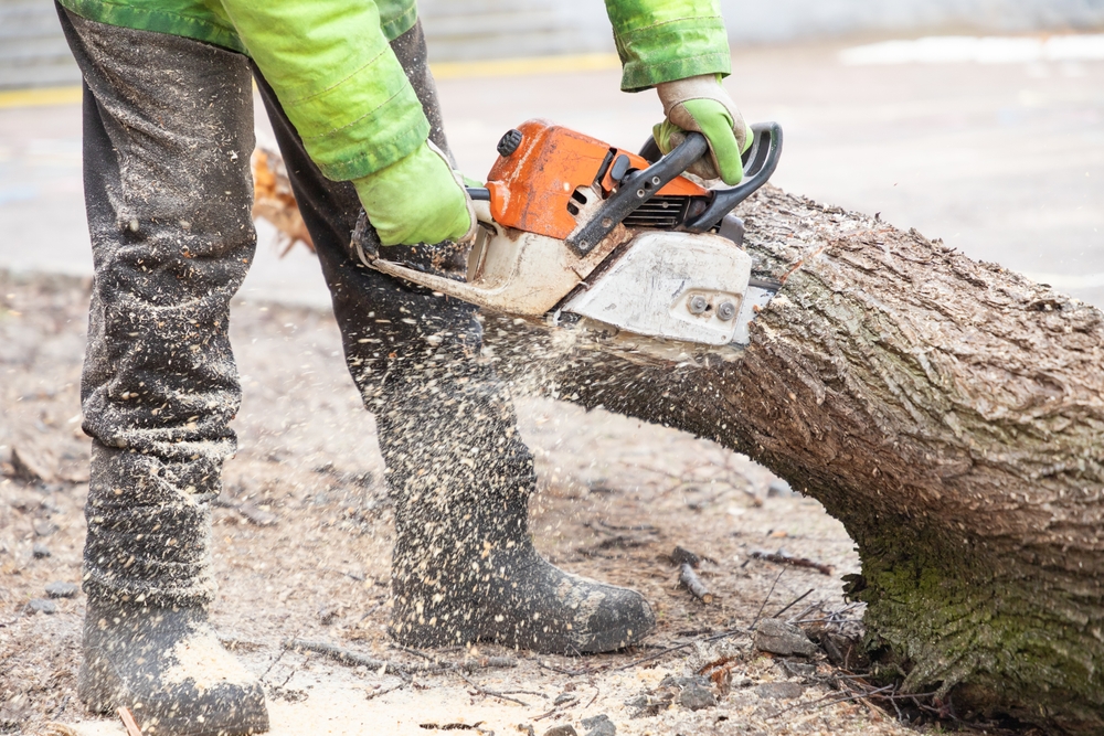 Some Tools Are Worth Sharpening Before Winter
