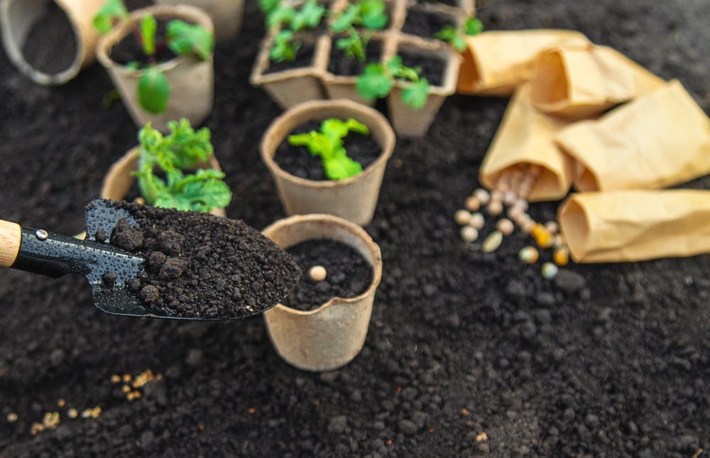 Drainage Mistake Ruin Your Garden’s Soil Each Winter