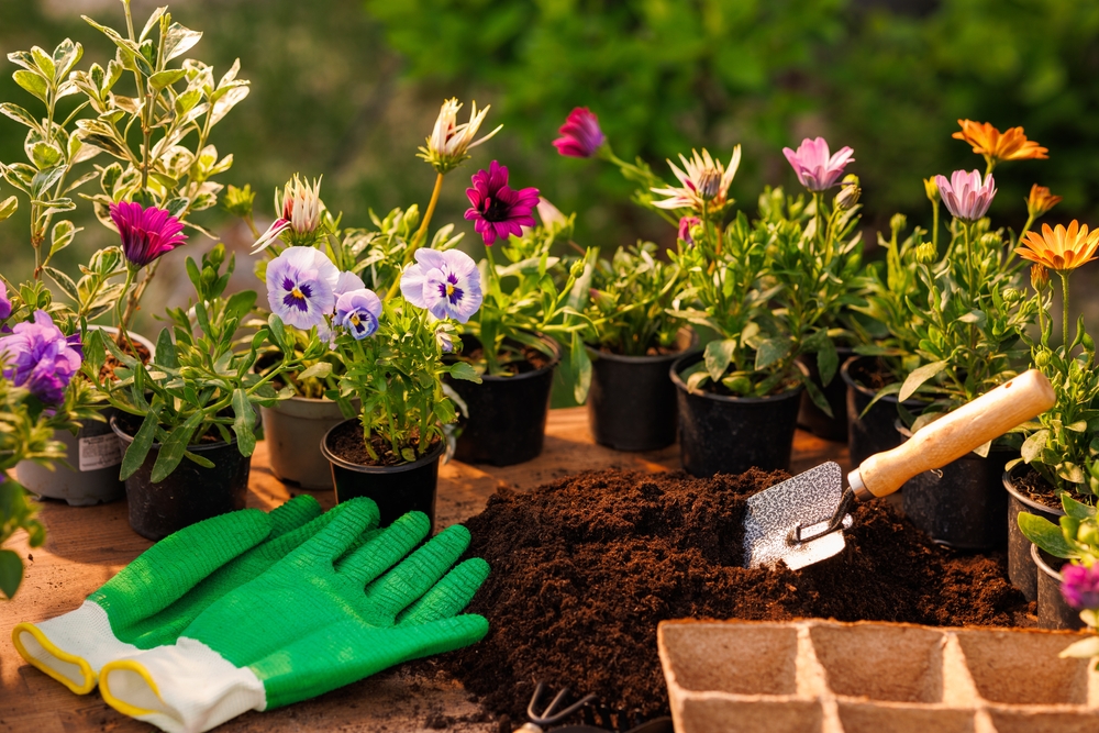 You Should Never Skip Cleaning Garden Tools in Autumn
