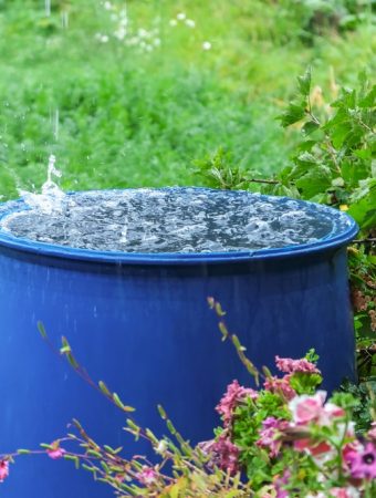 Rainwater Collection Is Easier in Fall