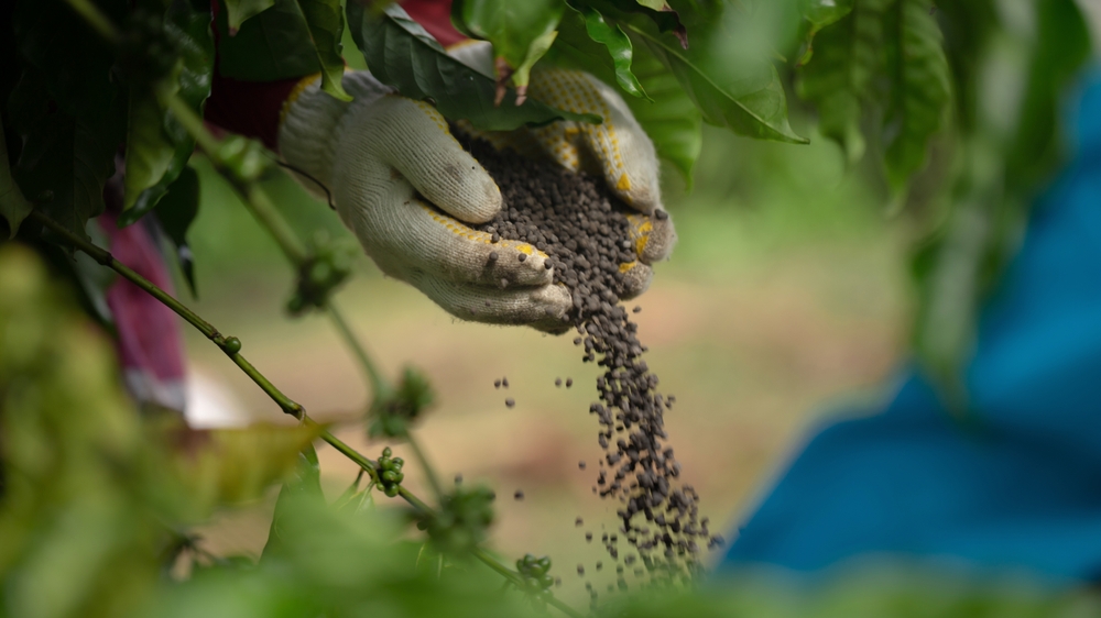 There Are Certain Fertilizers to Skip in the Cool Season