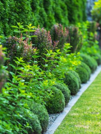 Crop Rotation Planning Starts in Autumn