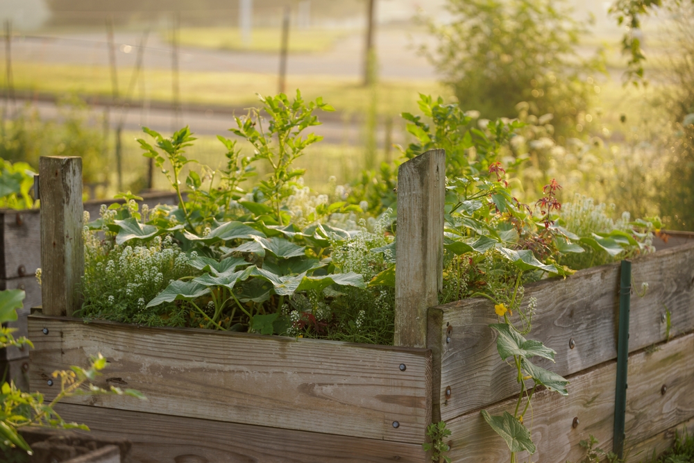 There are easy raised bed fixes for fall maintenance.