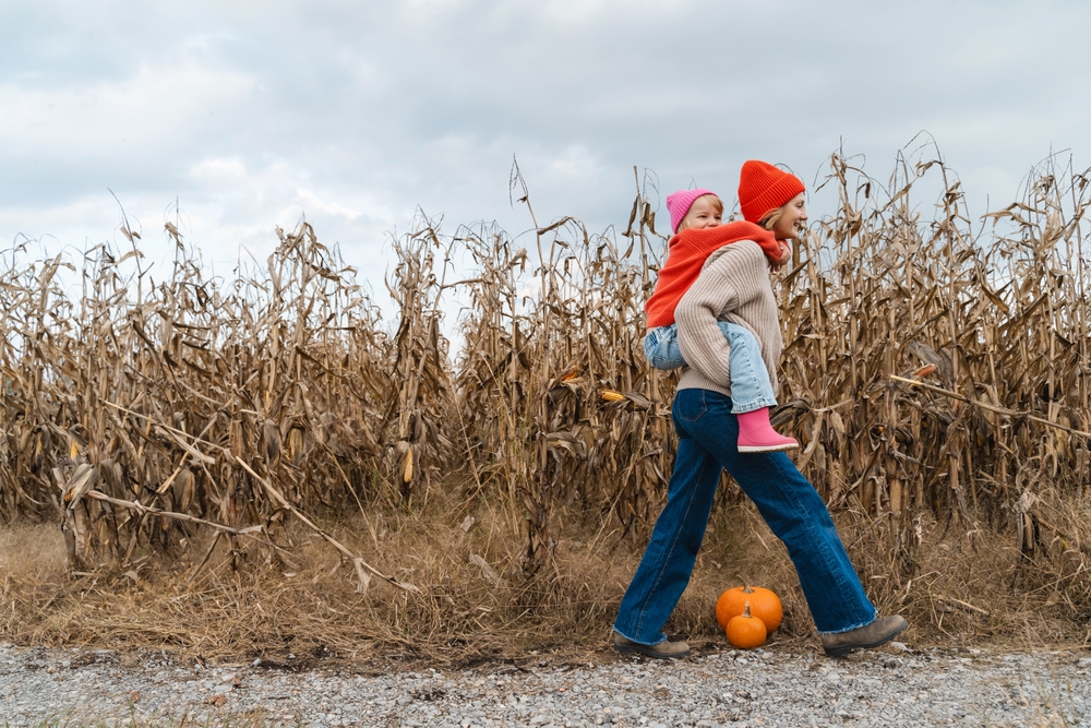 Crop Rotation Planning Starts in Autumn
