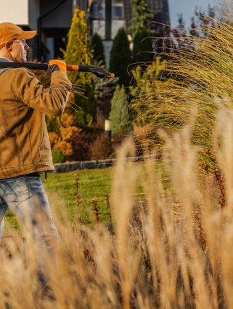Some ornamental grasses peak in fall