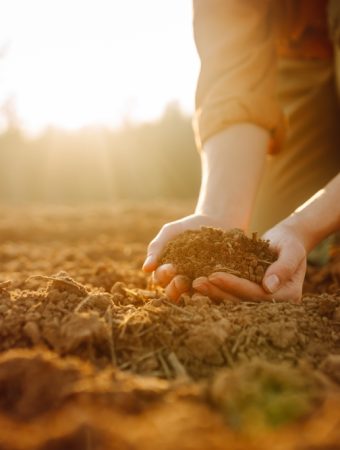 There Are Ways To Balance Soil pH Before Winter