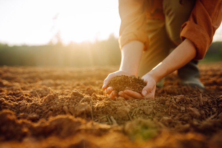 There Are Ways To Balance Soil pH Before Winter