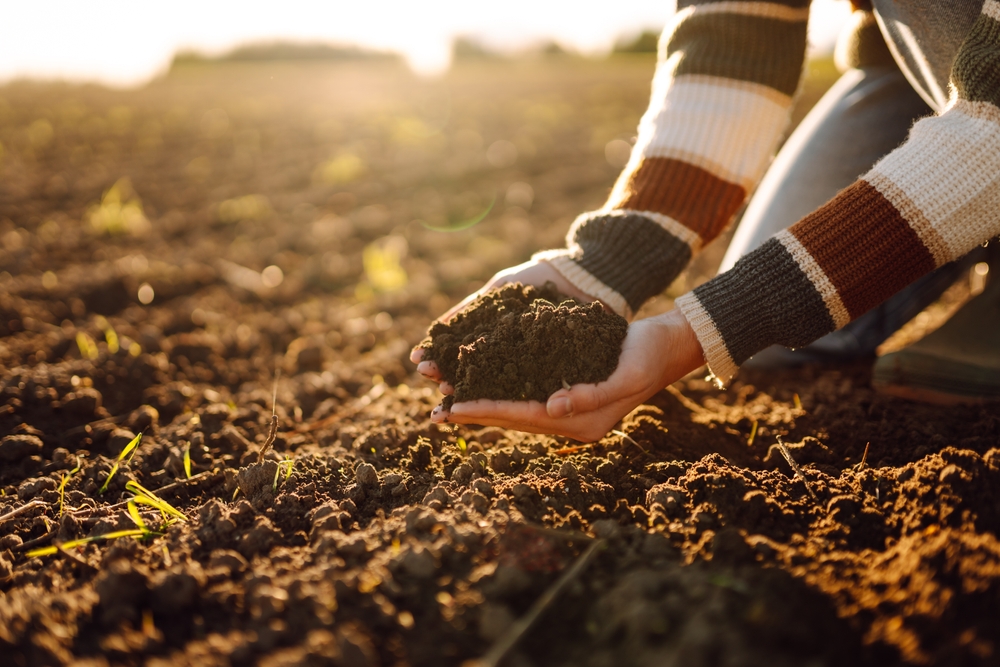 Covering beds help soil microbes thrive.
