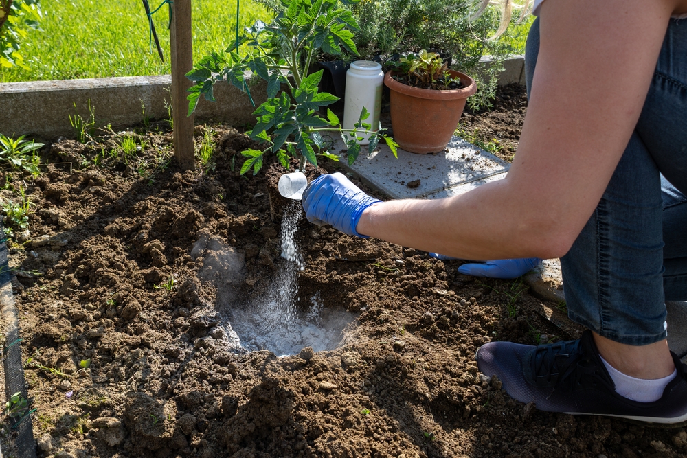 Some organic fertilizers work best in cooler soils.