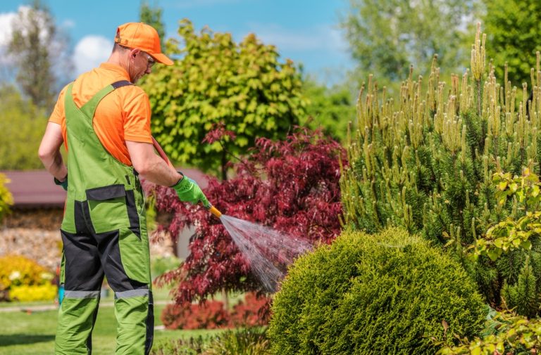 Certain shrubs should never be fertilized in fall