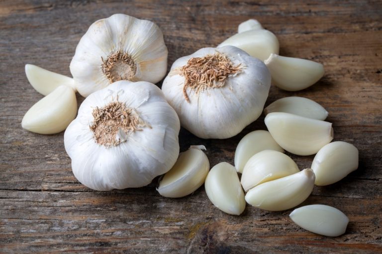 Garlic and Shallots Thrive When Planted Now