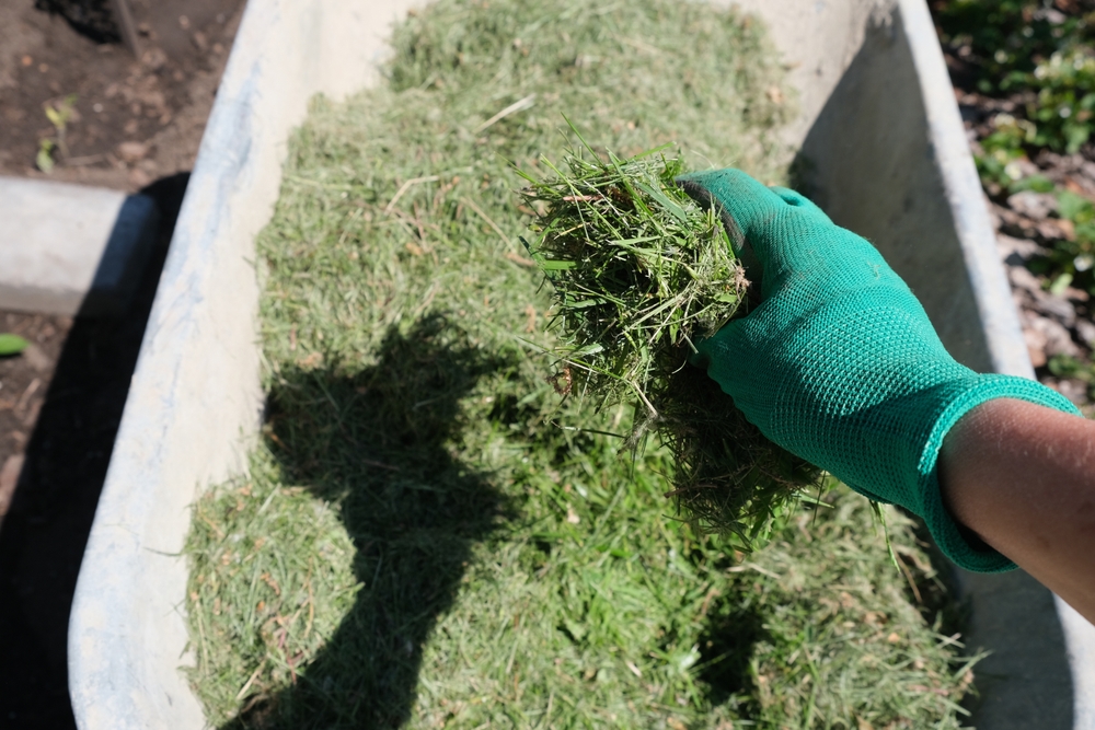 You Can Spot Overwintering Insects in Mulch
