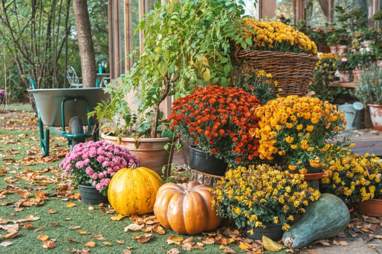 You can transition from summer containers to autumn displays.
