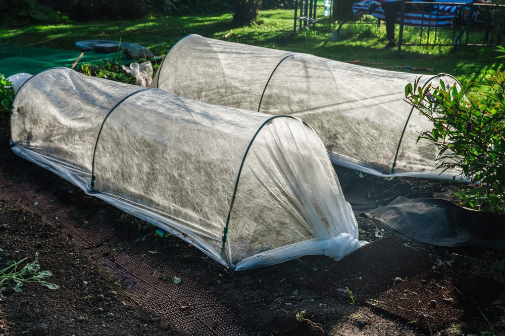 Some Cold-Weather Garden Covers That Actually Work