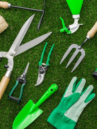 You Should Never Skip Cleaning Garden Tools in Autumn
