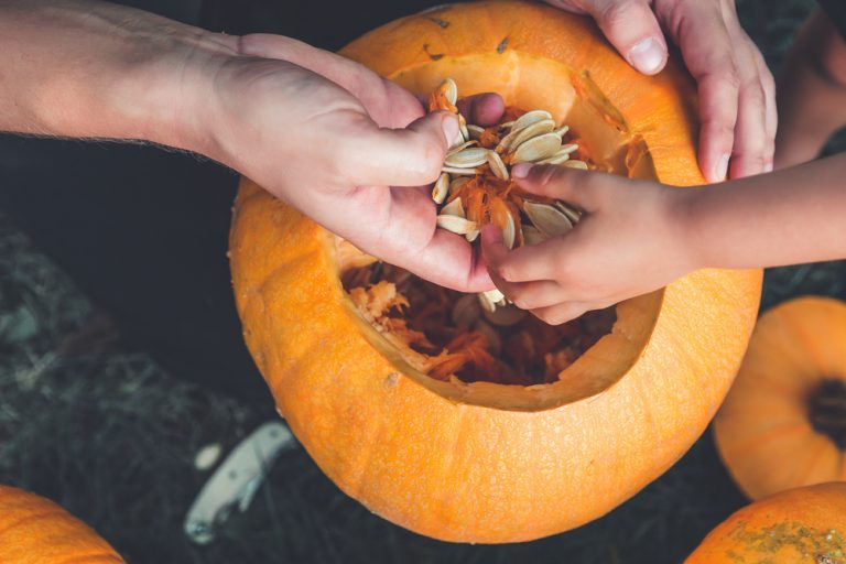 how to use pumpkin scraps in the garden