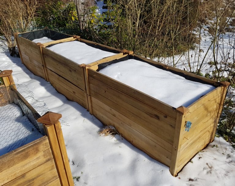 Here Is The Ultimate Lazy Gardener’s Trick for Keeping Raised Beds Fertile All Winter
