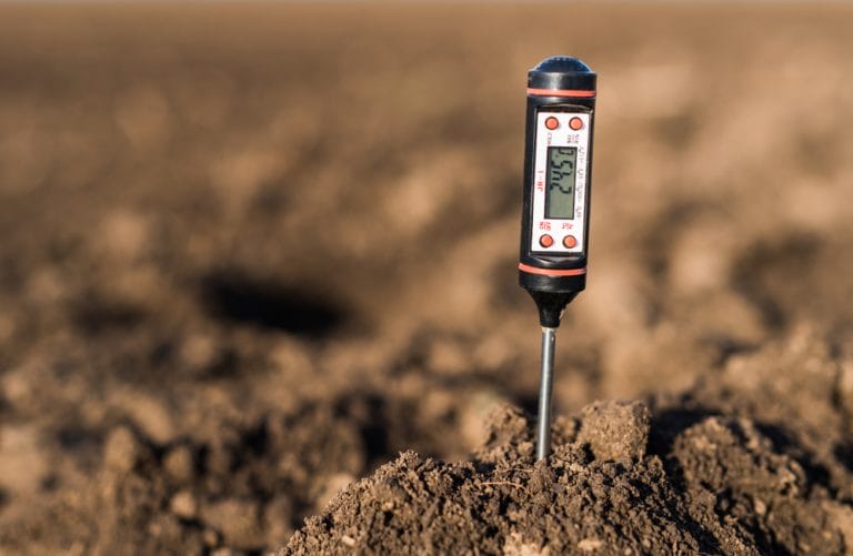 Gardeners Should Track Soil Temps in Autumn