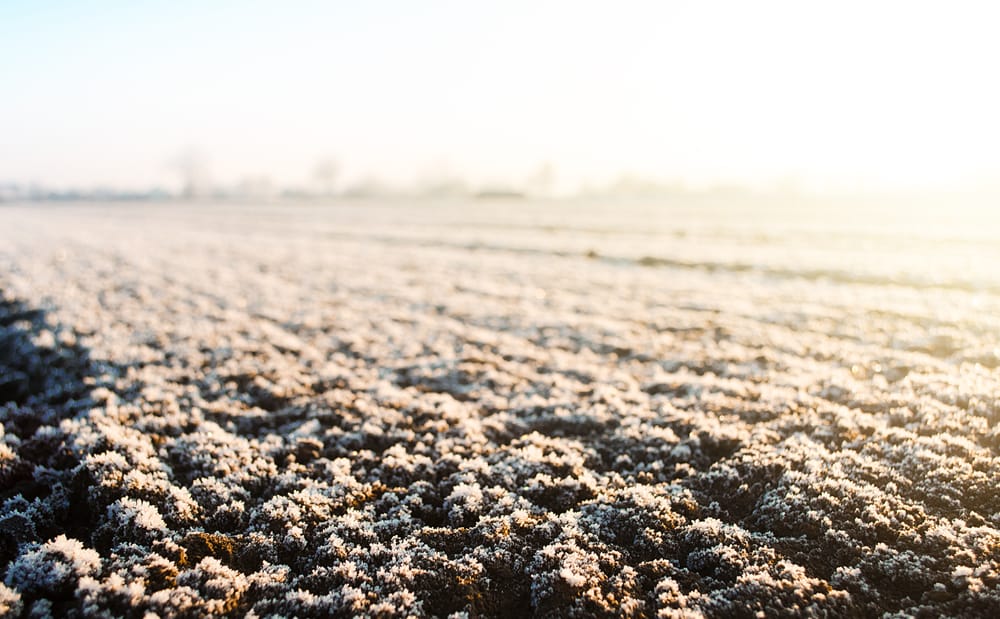 You Need to Check Soil Drainage Before the First Freeze