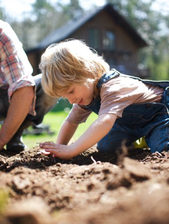 There Are Helpful Leaf Mold Hacks for Healthier Soil
