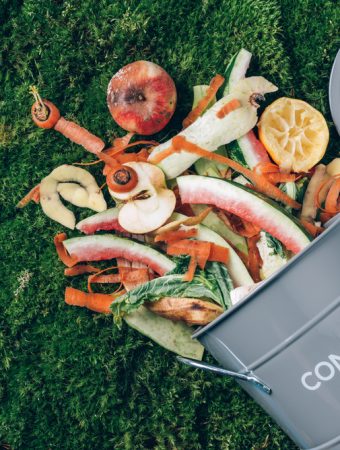 Some Compost Additives Are Perfect For Fall Breakdowns