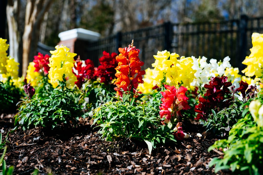 There Are Winter Prep Mistakes Gardeners Always Regret