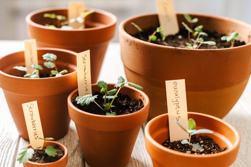 You Can Save Your Pots From Cracking In The Cold