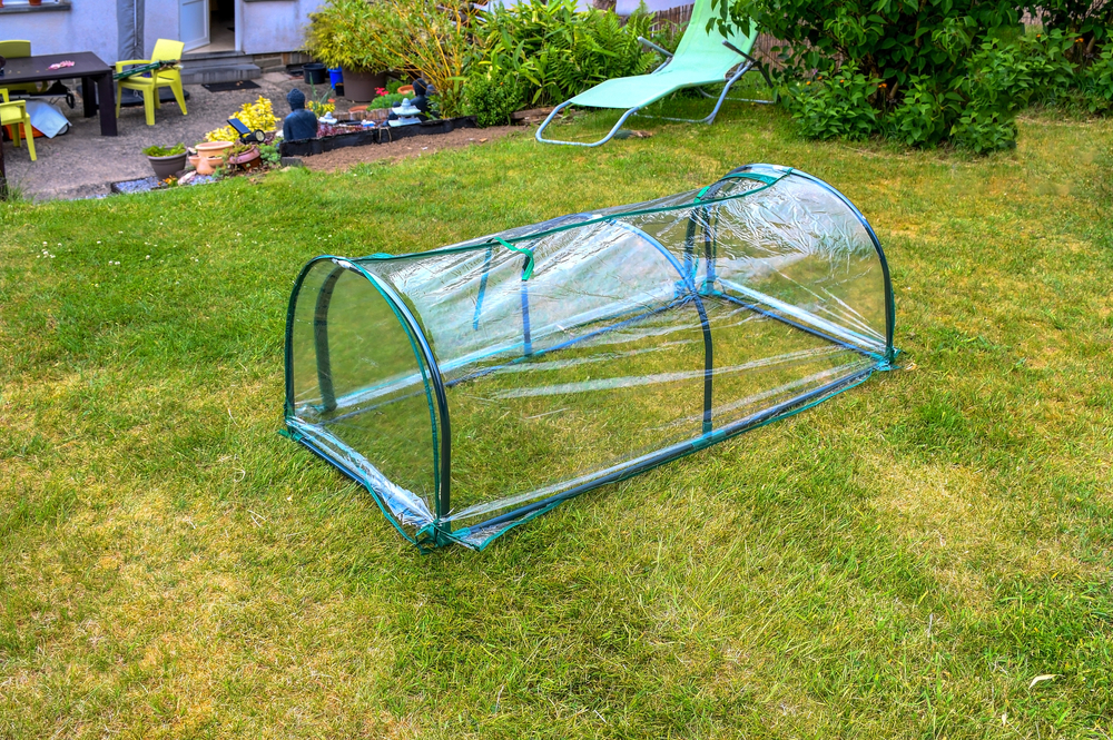 This Is A Winter Vegetable Garden Hack That Southern Gardeners Swear By