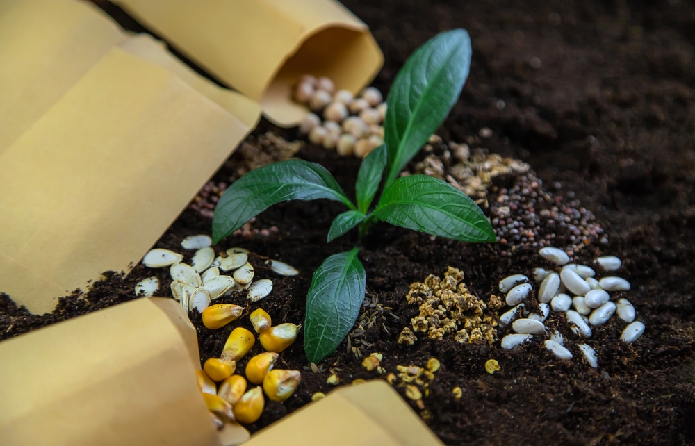 There Are Tips For Saving Seeds Before Winter