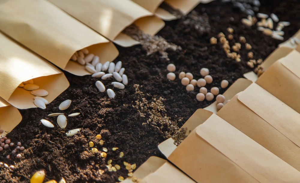 There Are Tips For Saving Seeds Before Winter