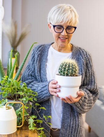 There Is A Right Way to Move Houseplants Indoors Without Losing Leaves