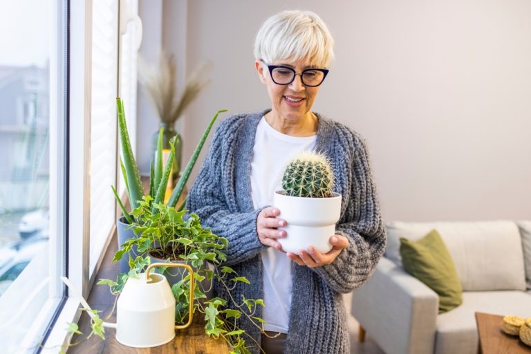 There Is A Right Way to Move Houseplants Indoors Without Losing Leaves