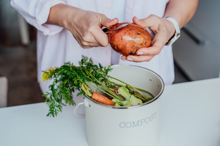 Some Kitchen Scraps Enrich Soil Best in Autumn