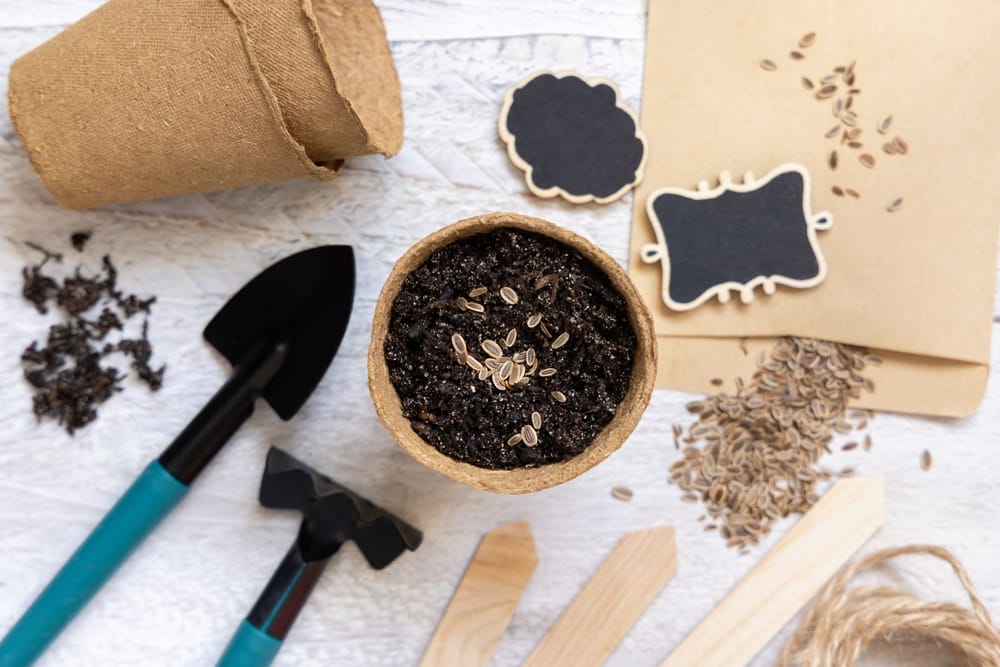 You Need To Start These Seeds Indoors Now to Beat Spring Rush