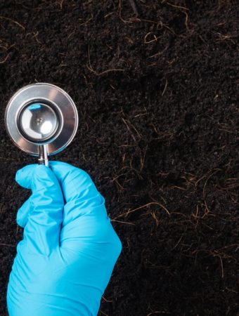 Some Soil Problems Are Fixed Best in Autumn