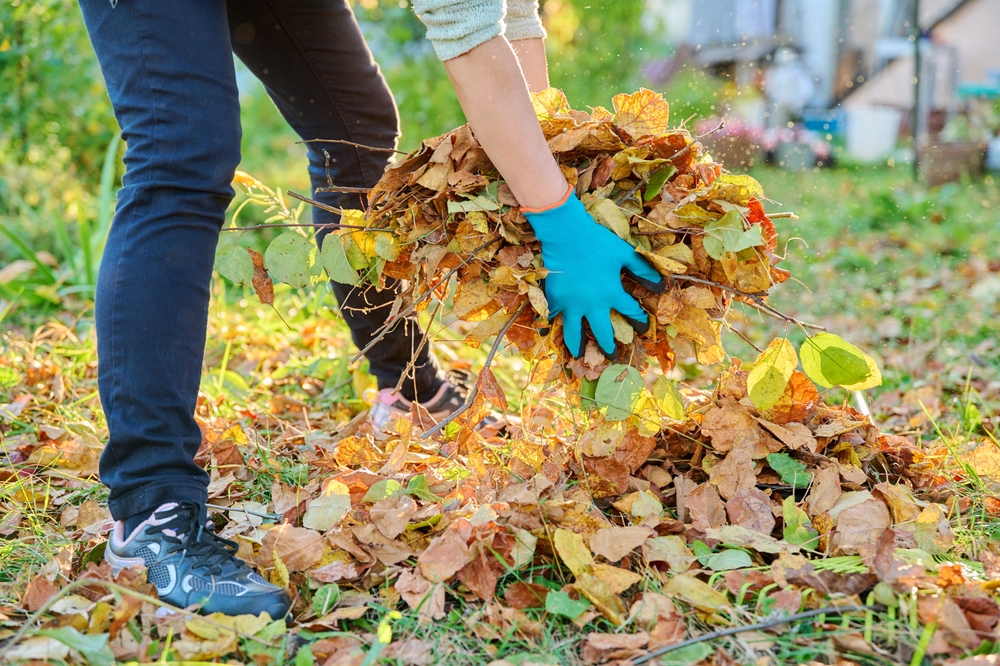 The Ultimate November Garden Checklist: Don’t Skip These Final Tasks