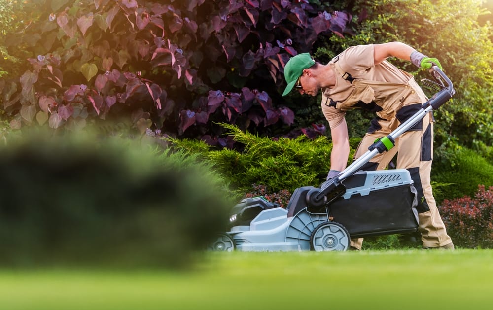 You Need To Know When to Stop Mowing for the Last Time