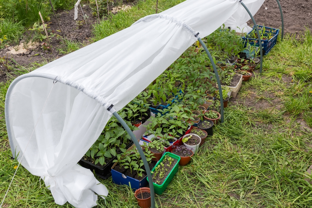 How to Keep Growing Fresh Veggies Through Winter