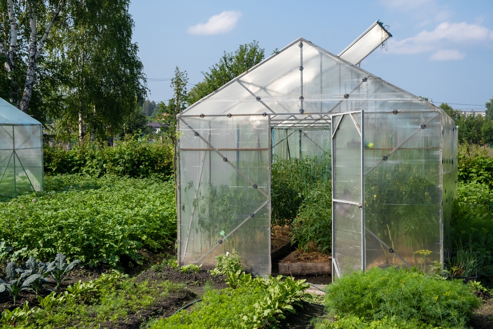 How to Turn a Drafty Shed Into a Greenhouse
