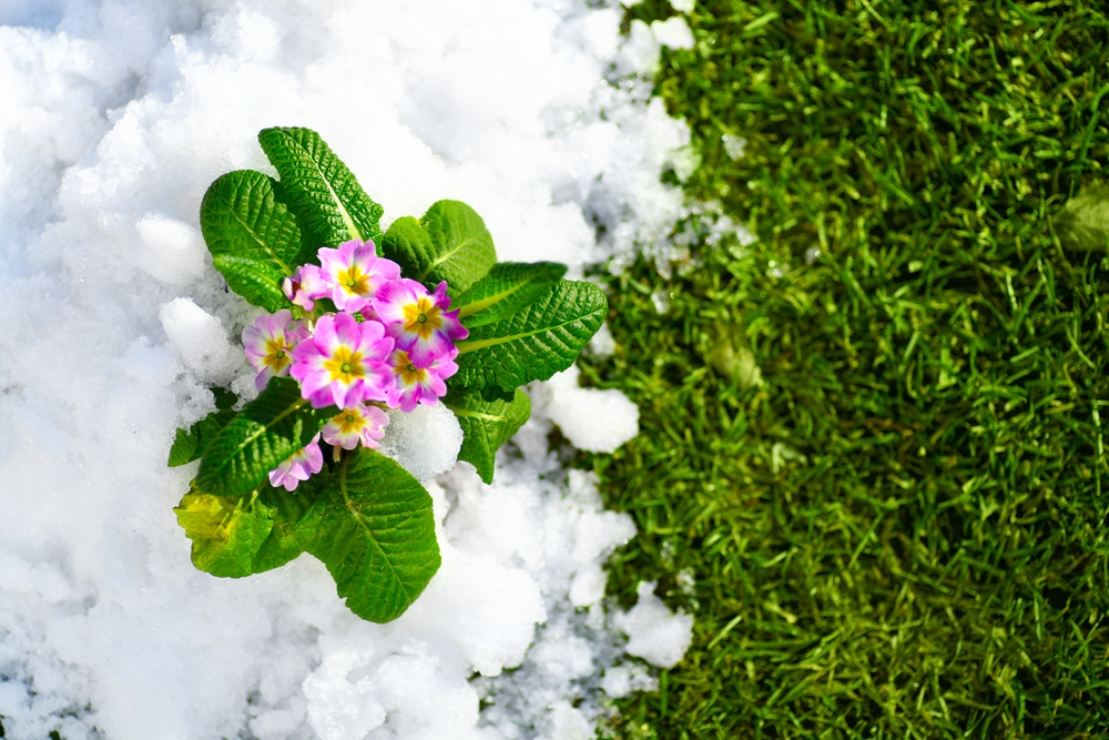 There Are Lawn Mistake That Everyone Makes Right Before Winter