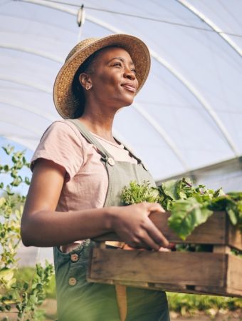 There Are Many Old Wives’ Tales About Fall Gardening